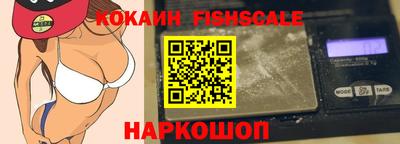 гашик Камышлов