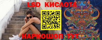 гашик Камышлов