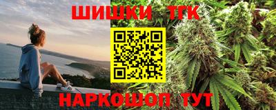 гашик Камышлов