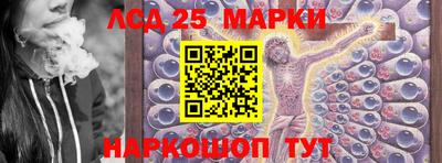 гашик Камышлов