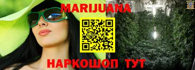 гашик Камышлов