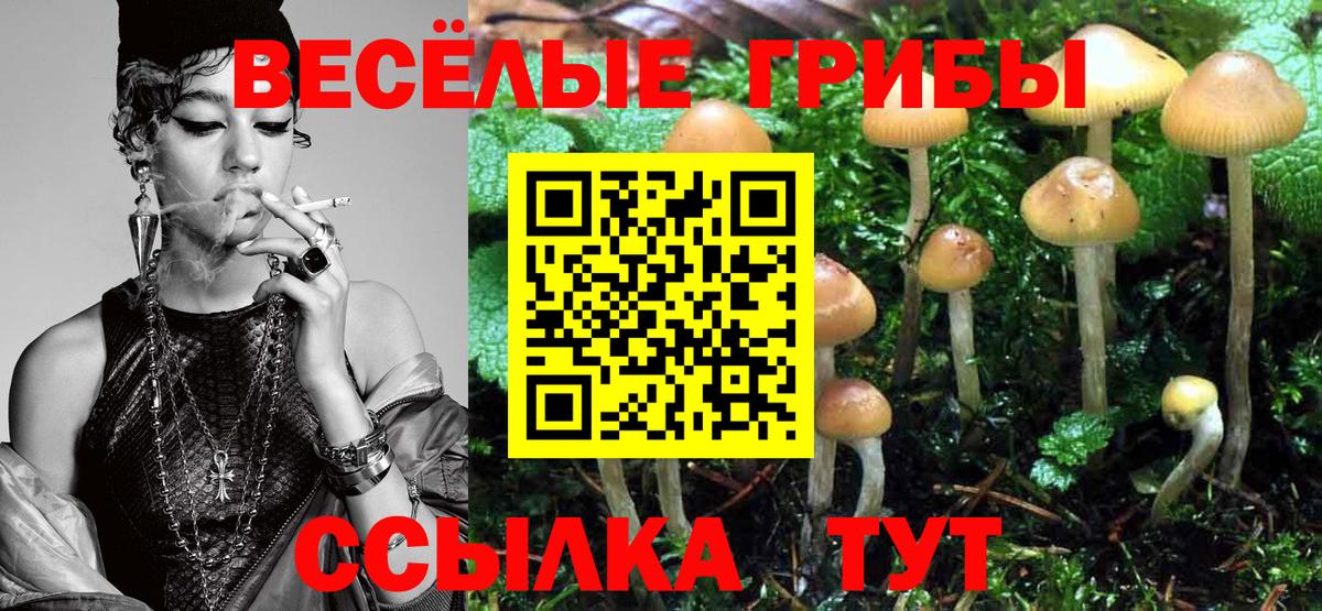 Балашов  Галлюциногенные грибы Psilocybe  Галлюциногенные грибы Cubensis  Вход с VPN 