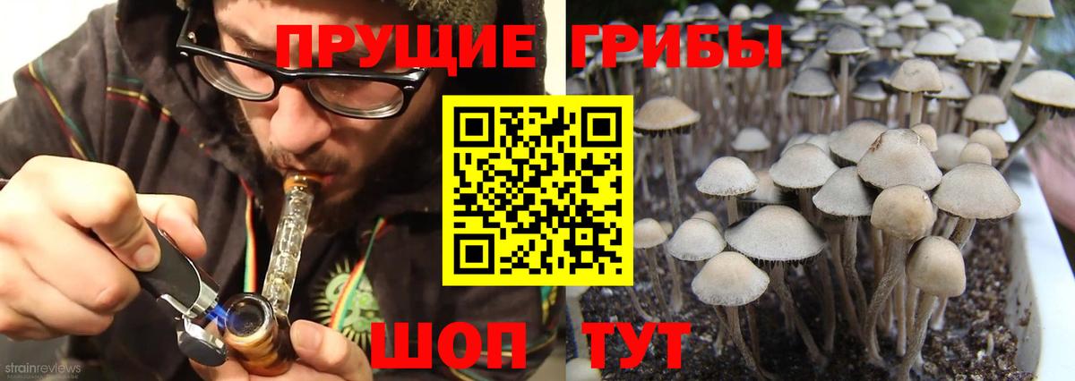 Псилоцибиновые грибы мухоморы Балашов
