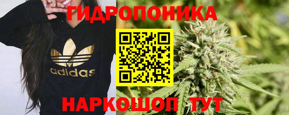 Каннабис сатива  МАРИХУАНА индика  Конопля конопля  Балашов  Вход с VPN  Марихуана AK-47 